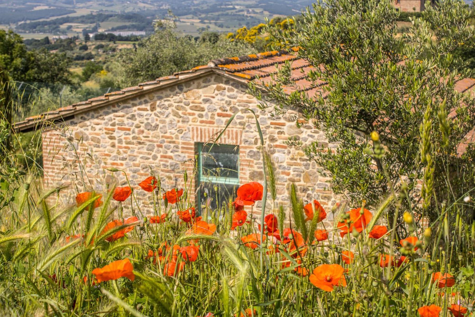 Agriturismo Dandelion Città della Pieve Kültér fotó