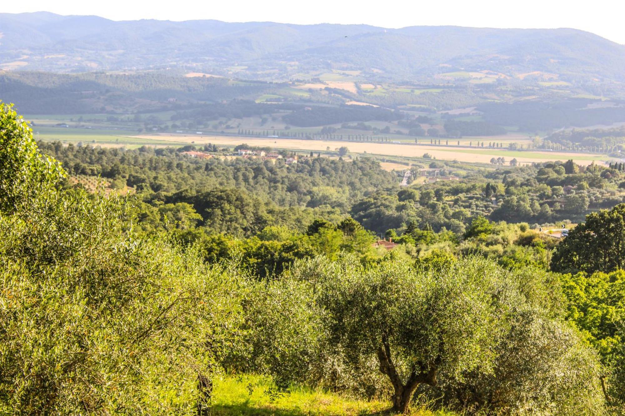 Agriturismo Dandelion Città della Pieve Kültér fotó